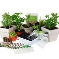 Culinary Indoor Herb Garden Starter Kit